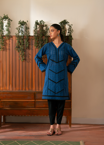 Blue Chikankari Shirt