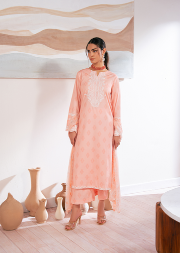 Baby Pink Embroidered 3 Piece